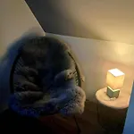 Prázdninový dům U Sockow *