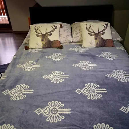 U Sockow זקופאנה