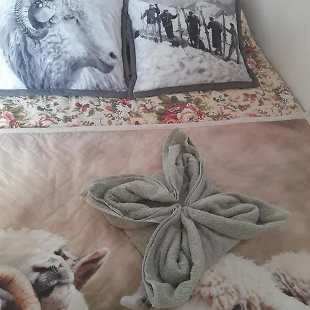 U Socków Dom wakacyjny